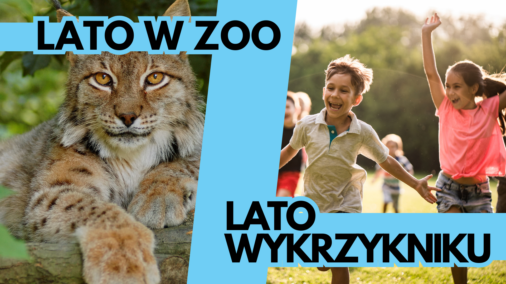 PÓŁKOLONIE LETNIE 2025 W DWÓCH LOKALIZACJACH